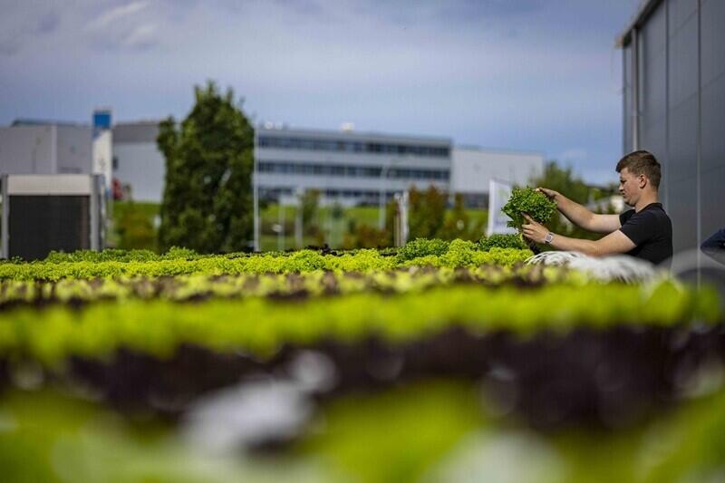 Aktuální foto z průmyslové zóny Artur Irma